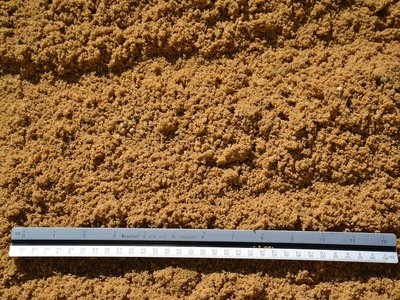 Screened Sand